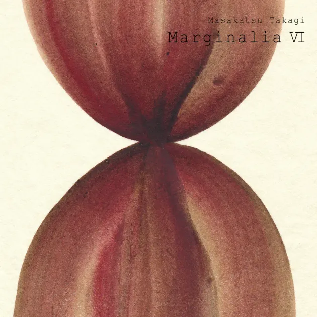 Album of the day #9 - Marginalia VI | Maxime Cannoodt